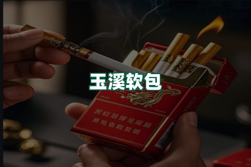 玉溪软包